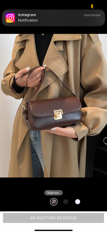 Pochette Louvre
